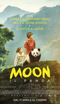 Moon – il panda